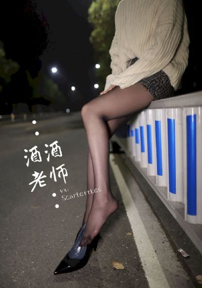 完美的妻子