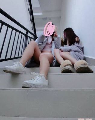 翼舞在线观看免费观看全部节目